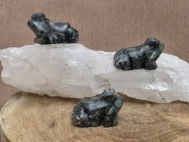 Kambaba jaspis kikker
