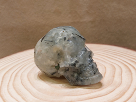 Prehniet human skull