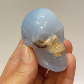 Blauwe chalcedoon human skull