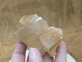 Mariposa calciet uit Mexico
