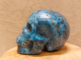 Apatiet human skull