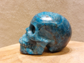 Apatiet human skull