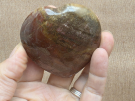 Versteend hout hart