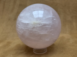 Rozenkwarts bol 10 cm