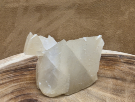 Mariposa calciet uit Mexico