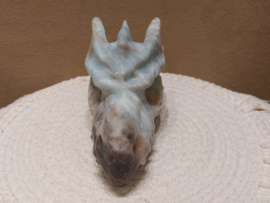 Blue carribean calciet draak