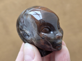 Versteend hout elfen being
