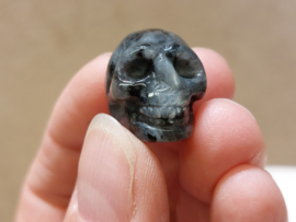 Larvikiet skullie