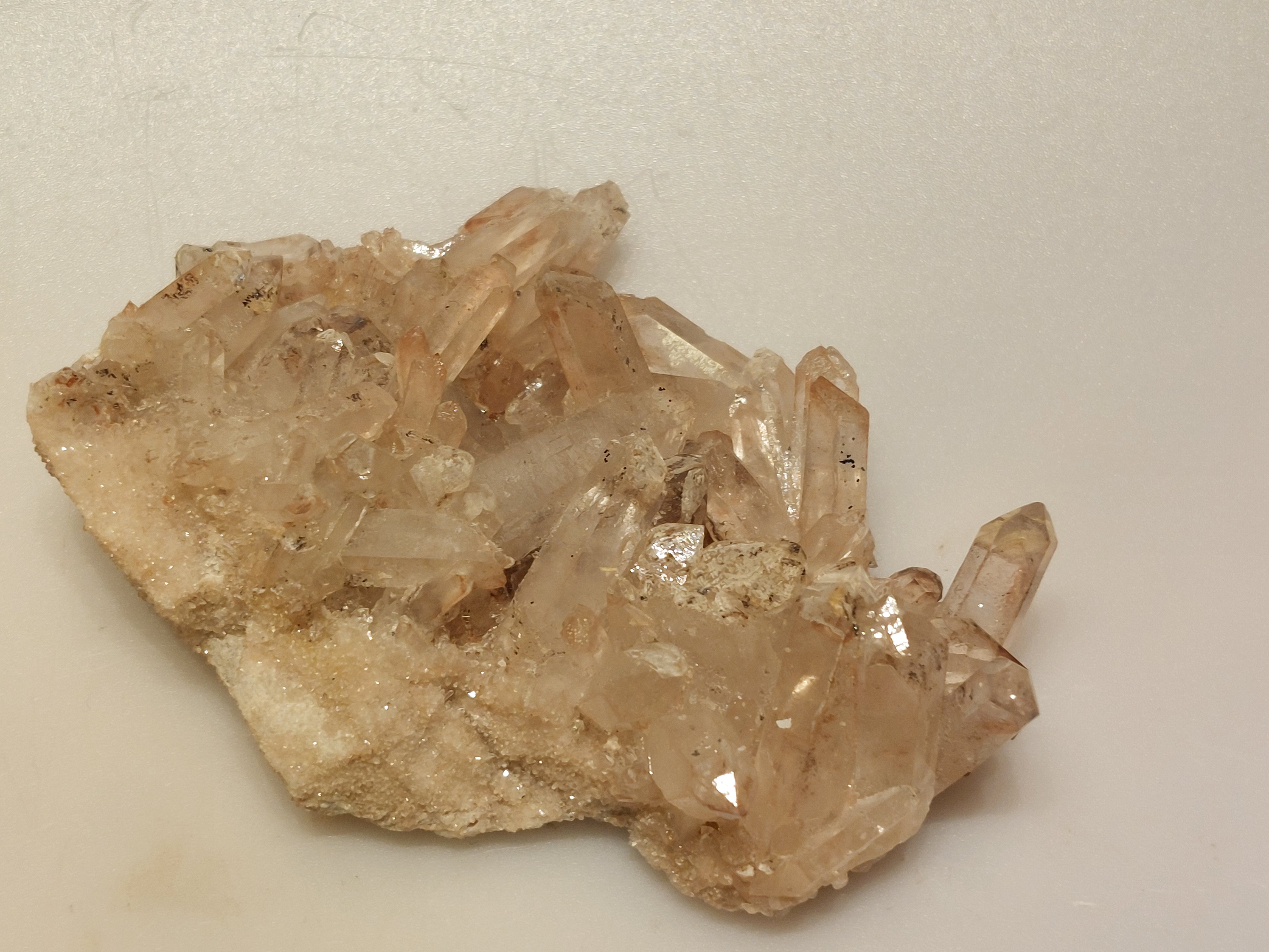 Maria magdalena cluster