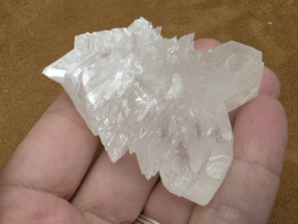 Engelenvleugel seleniet/angelwing seleniet fish tail, Mexico