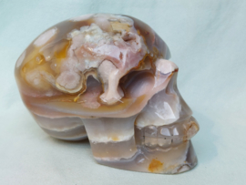 Flower agaat human skull