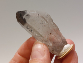 Sichuankwarts punt