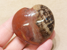 Versteend hout hart