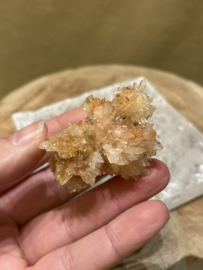 Creediet kristal uit Chihuahua Mexico