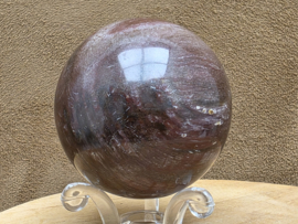 Versteend hout bol