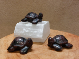 Granaat schildpad