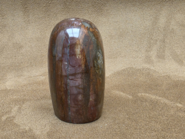 Versteend hout sculptuur