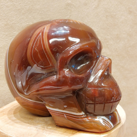 Carneool human skull