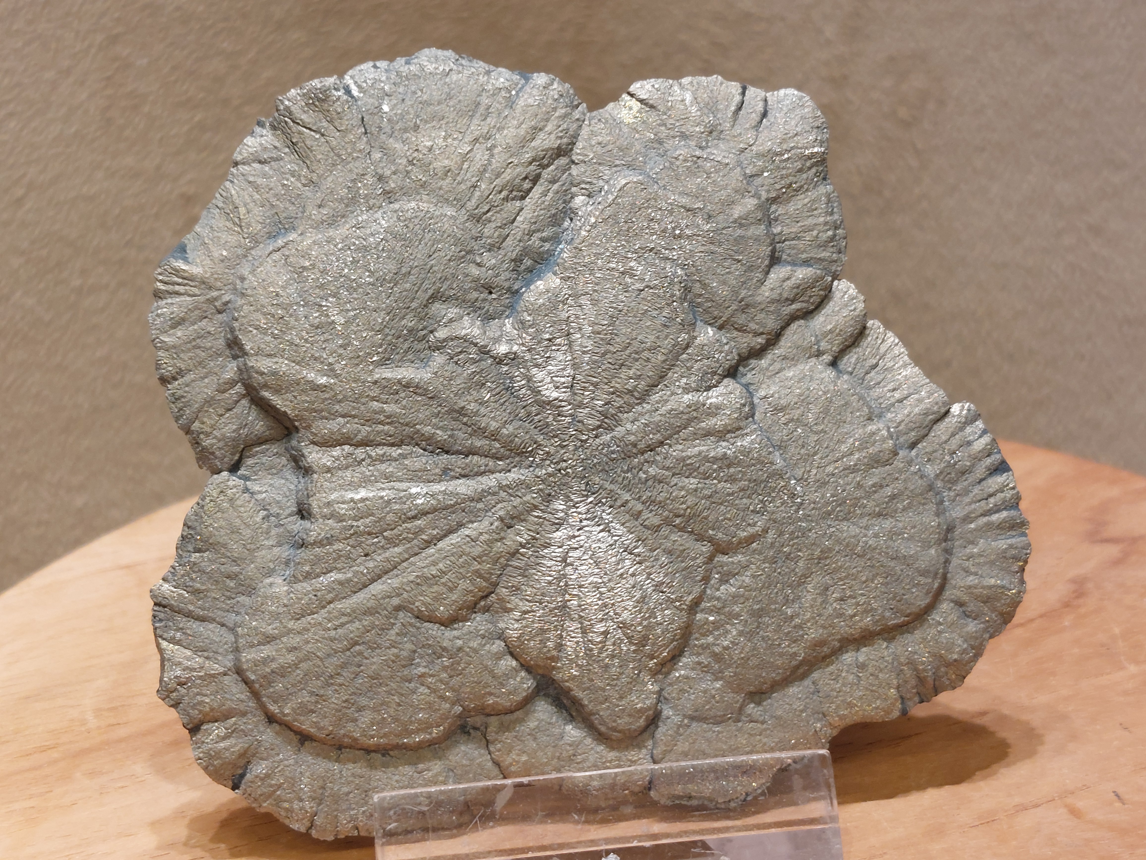 Pyrietzon