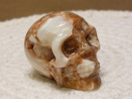 Chocolade calciet/aragoniet human skull