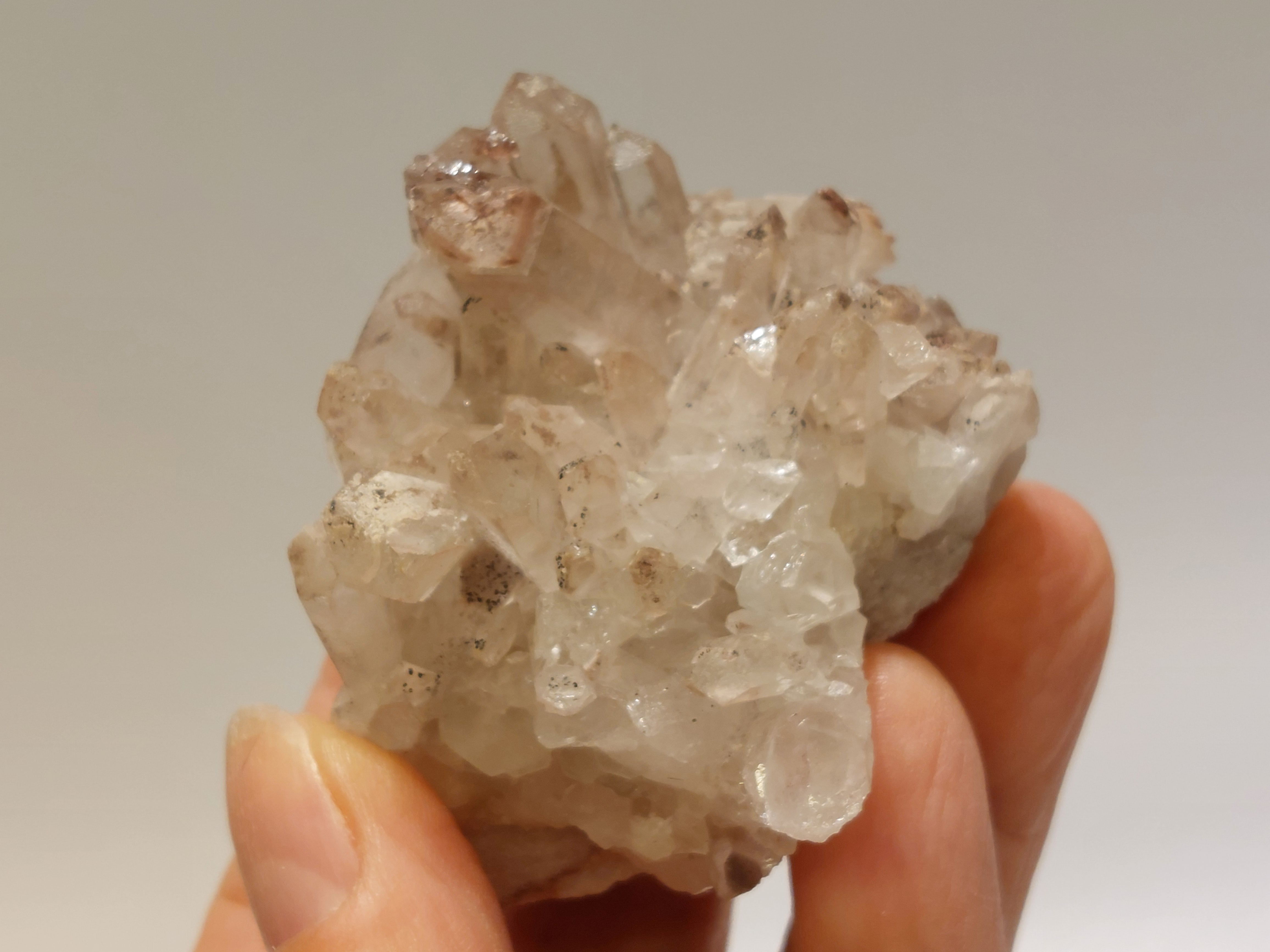 Maria magdalena cluster