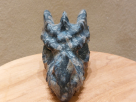 Que sera of vulkaniet draak