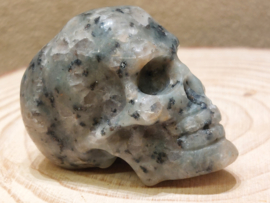 Kiwi jaspis human skull