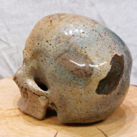 Oceaan jaspis human skull