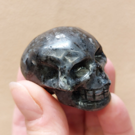 Larvikiet human skull