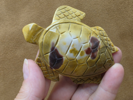 Mookaiet schildpad