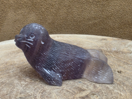Fluoriet zeehond
