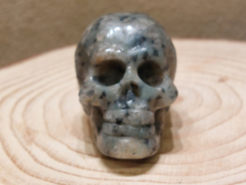 Kiwi jaspis human skull
