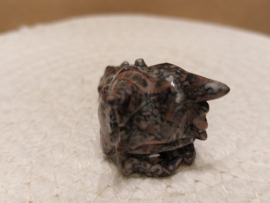 Crinoid fossiel draak