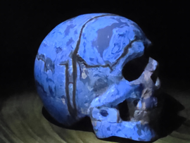 Blauwe amber human skull