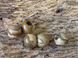 Landschap jaspis kraal voor aan halsband