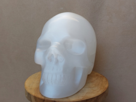 Seleniet/satijnspaat human skull