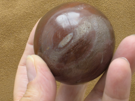 Versteend hout bol