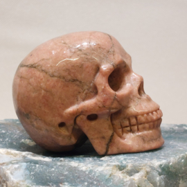 Rhodoniet human skull