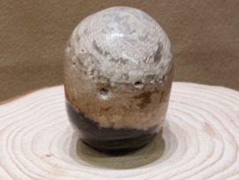 Versteend palmwortel human skull