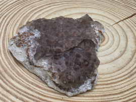 Hondentand calciet op fluoriet met hematiet