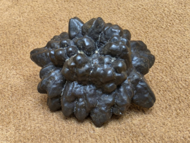 Prophecy stone
