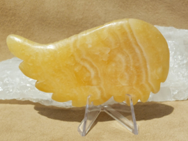 Oranje calciet vleugel