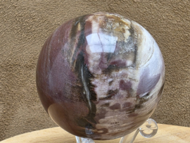 Versteend hout bol