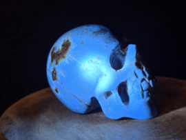 Blauwe amber human skull