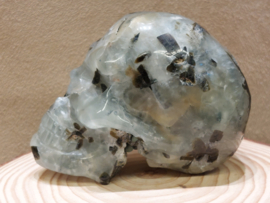 Prehniet human skull