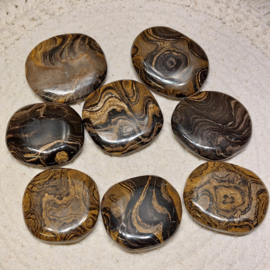Stromatoliet platte steen