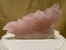 Rozenkwarts roos staand