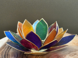 Lotus sfeerlicht chakra's met goudrand