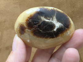Septarie handsteen
