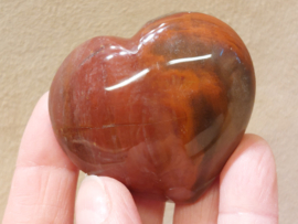 Versteend hout hart
